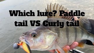 Which Soft lures are best Paddle tail VS Curly tail VS Vtail [upl. by Enna]