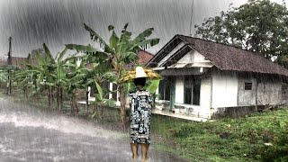 Very heavy rain And thunder hit my village in the afternoon  Time to Sleep Focus For better health [upl. by Ilse]