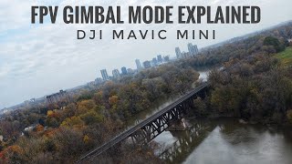 DJI Mavic Mini FPV Mode Explained [upl. by Bowen]