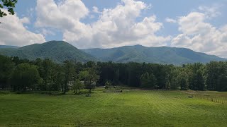 Cades Cove Shorter Walk 8 21 24 [upl. by Olihs777]