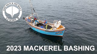 2023 Mackerel Bashing [upl. by Nylitak933]