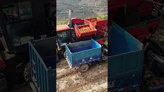 Corn harvester unloading process Good tools and machinery can increase work efficiency [upl. by Atiner]