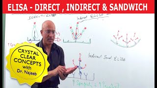 Elisa Test  Direct Indirect amp Sandwich 🩸 [upl. by Lezlie279]