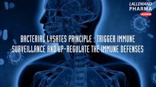 What are bacterial lysates [upl. by Pliner387]