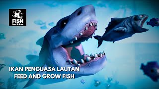 MENCOBA MENAKLUKAN LAUTAN YANG LUAS  Fish Feed and Grow [upl. by Keelin]