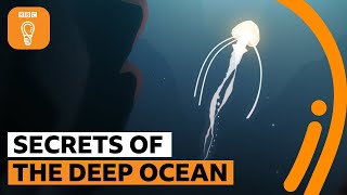 The secrets of the deep ocean  The Royal Society [upl. by Parette]