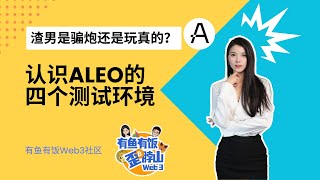 Aleo这一次是骗炮还是玩真的？认识Aleo的四个测试环境 aleo 有鱼有饭 [upl. by Bekaj]