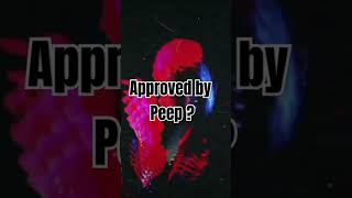 LIL PEEP TYPE BEAT quotPAIN MY DRUGquot  lilpeeptypebeat typebeat beats [upl. by Donoho]