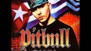 Pitbull  305 Anthem feat Lil Jon [upl. by Eilatam529]