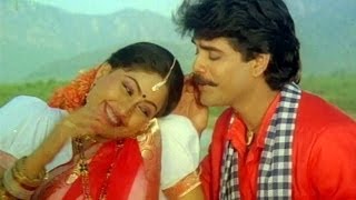 Janaki Ramudu Songs  Chilaka Pachha Thotalo  Nagarjuna  Vijaya Shanthi [upl. by Erdnaxela]