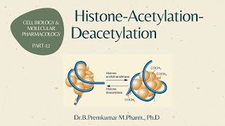 Histone Acetylation Deacetylation  CBMP  Part 12 [upl. by Dulce232]