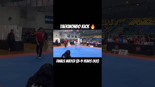 Taekwondo Sparring Finals Match [upl. by Ocir963]