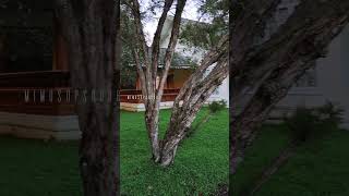 nature lake landscape resort vembanadlake alleppey youtubeshorts shortvideo shortfeed [upl. by Aizti]