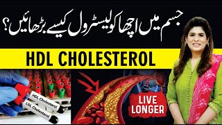 How to Increase Good Cholesterol  HDL Cholestrol  Dr Fareeha Tariq [upl. by Vashtee]