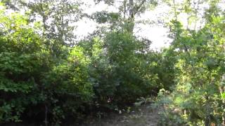 Town Trails Pembroke MA Veterans Commemorative Forest Part 1 [upl. by Frasier]