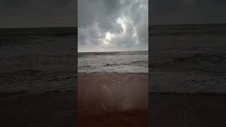 Browns Beach Negombo Sri Lanka travel shorts negombo [upl. by Eniahs]