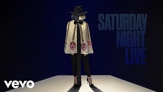 Sia  Bird Set Free Live From SNL [upl. by Marylinda]