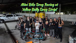 Mini Bike Drag Racing at Yellow Belly [upl. by Rochell841]