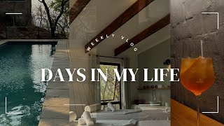 Weekly Vlog 7 Miombo Mountain Lodge Staycation zimbabwe zimyoutubers harare [upl. by Latoniah]