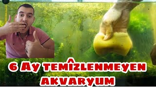 AKVARYUM 6 AY SONRA İLK TEMİZLEME [upl. by Bahr933]