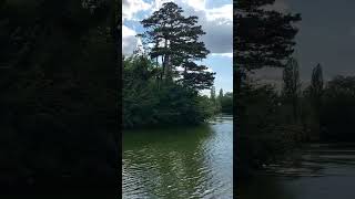 Crossing Laxenburg Castle Lake With The Nice Ferry [upl. by Pardoes872]