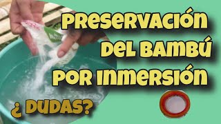 🟢9 PUNTOS EN EL PROCESO DE PRESERVACIÓN POR INMERSIÓN ⛔️ ¿Tienes más dudas 📣 [upl. by Asenad665]