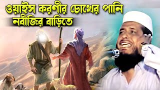 ওয়াইস করণীর চোখের পানি নবীজির বাড়িতে । তোফাজ্জল হোসেন ভৈরবী। Tofazzal hossain bhairovi [upl. by Eojyllib89]