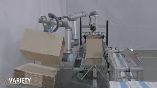 Robotic Case Erector Case Filling End of Line Palletizing Palletizer [upl. by Ailehpo]