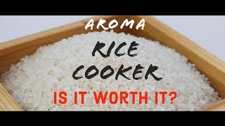 How to use the Aroma Rice Cooker  The Bear Review [upl. by Vaules62]