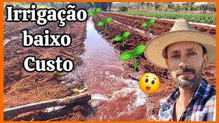 🌱💧Sistema de irrigação de baixo custo irrigação em valas ou sulco de plantiu [upl. by Alilahk48]