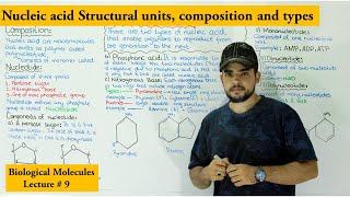 Introduction to nucleic acid and nucleotide  types of nucleotides [upl. by Vtarj55]