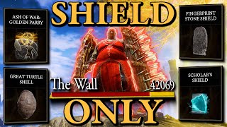 I BEAT ALL 165 BOSSES SHIELD ONLY [upl. by Adlai229]