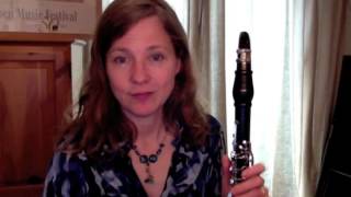 Clarinet Lesson Beginners  making a great first sound [upl. by Stilla]