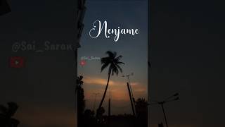 Nenjame nenjame ✨💫 💫 song lyrics 🎶🎵 whatsappstatus lyricsstatus lyrics SaiSaran [upl. by Adnilahs]