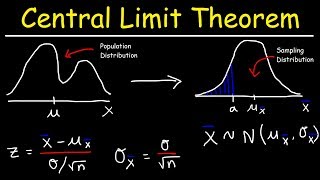 Central Limit Theorem  Sampling Distribution of Sample Means  Stats amp Probability [upl. by Sevein]