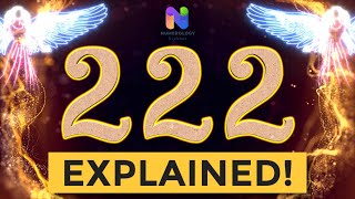 222 Angel Number  REWARDS are Coming YOUR WAY  Spiritual Message Explained [upl. by Aid]