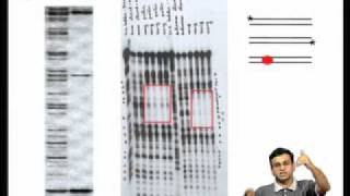 Mod01 Lec04 Proximal amp Distal Promoter ElementsEnhancers and Silencers Genespecific Regulators [upl. by Charyl]