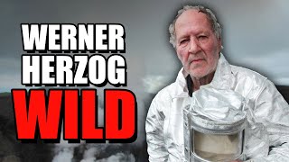 The Wildest Director Ever  Werner Herzog [upl. by Clayson]