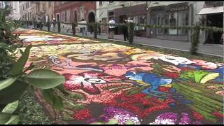 Un quadro contro la deforestazione allInfiorata di Genzano [upl. by Etnemelc291]