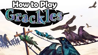 How To Play Grackles [upl. by Elleved954]