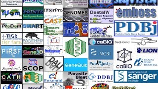 Bioinformatics part 2 Databases protein and nucleotide [upl. by Akinehc]