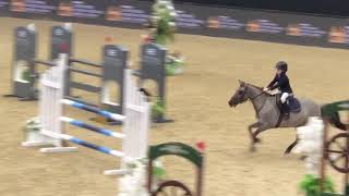 Lilly and Clooncraha Lady Liverpool Int GP [upl. by Dinse743]