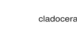 How to pronounce cladoceran [upl. by Renate]