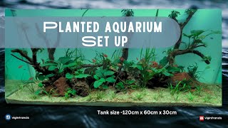 Planted aquarium setup [upl. by Etyam460]