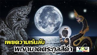 เผยความเร้นลับของพญานาคตระกูลกัณหาโคตมะ หรือพญานาคสีดำ The mysterious of the black naga [upl. by Blaise]