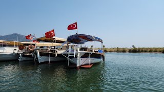 🇹🇷 Dalyan to Iztuzu Beach by Boat [upl. by Juanita]