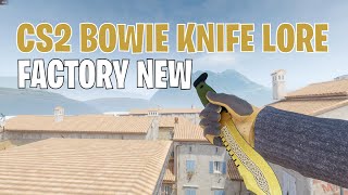 Bowie Knife Lore  CS2 Skin Showcase 169 [upl. by Hanan]