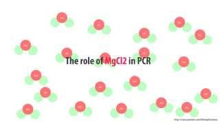 The role of MgCl2 in PCR  simple animated HD [upl. by Ybrik]