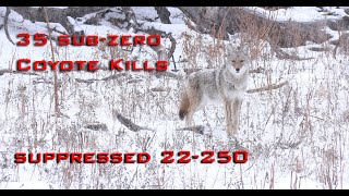 35 Sub Zero Coyote Kills Epic Winter Coyote Hunting [upl. by Eevets458]