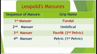 Leopolds Maneuver [upl. by Idonna]